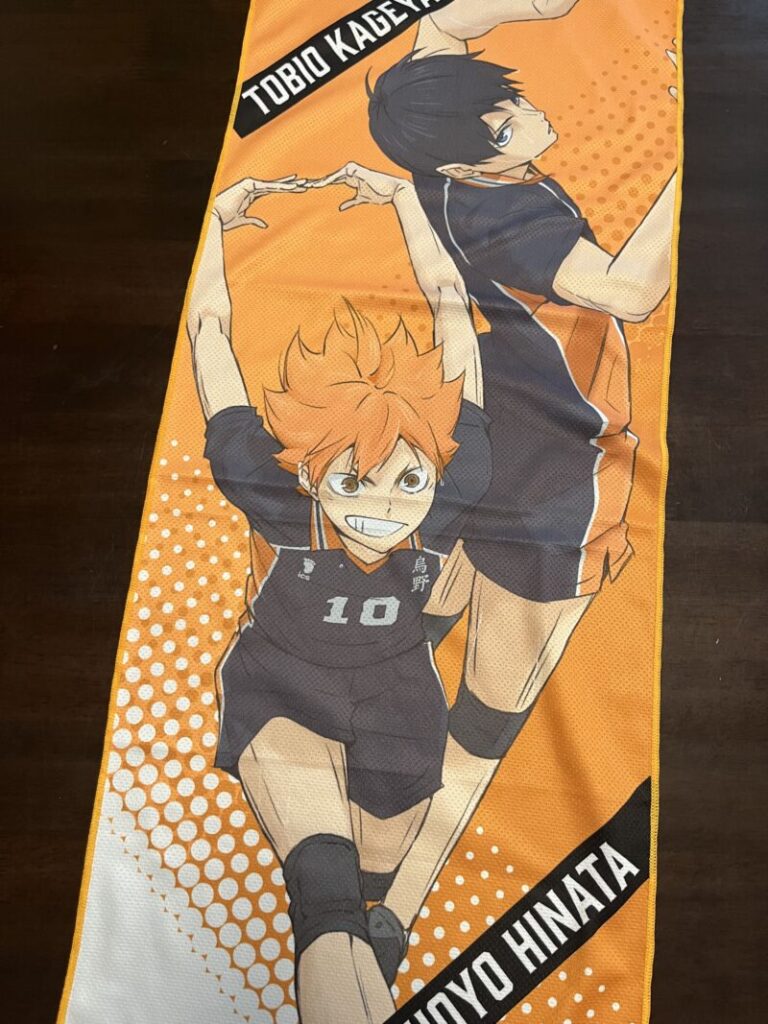 ハイキュー