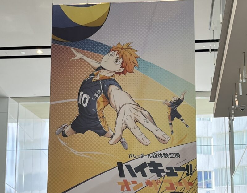 ハイキュー