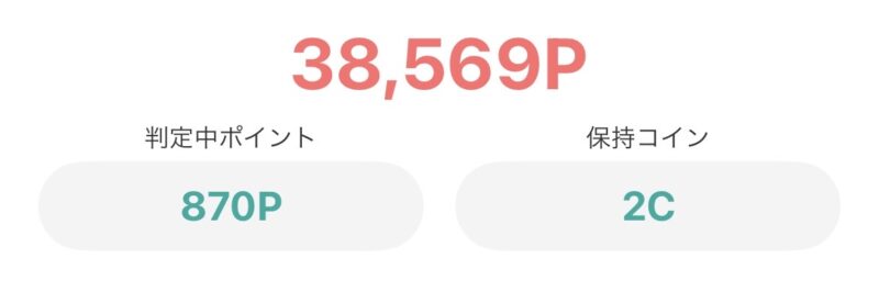 ポイ活